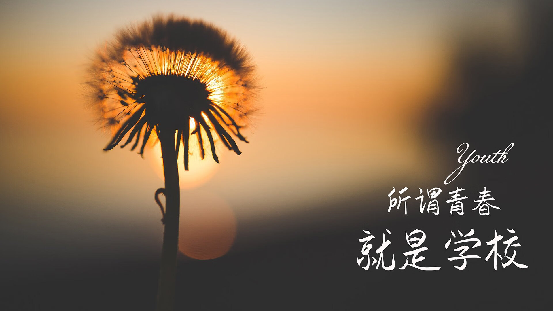 海底热带鱼观察运动，海底运动新奇体验，海底热带鱼视频