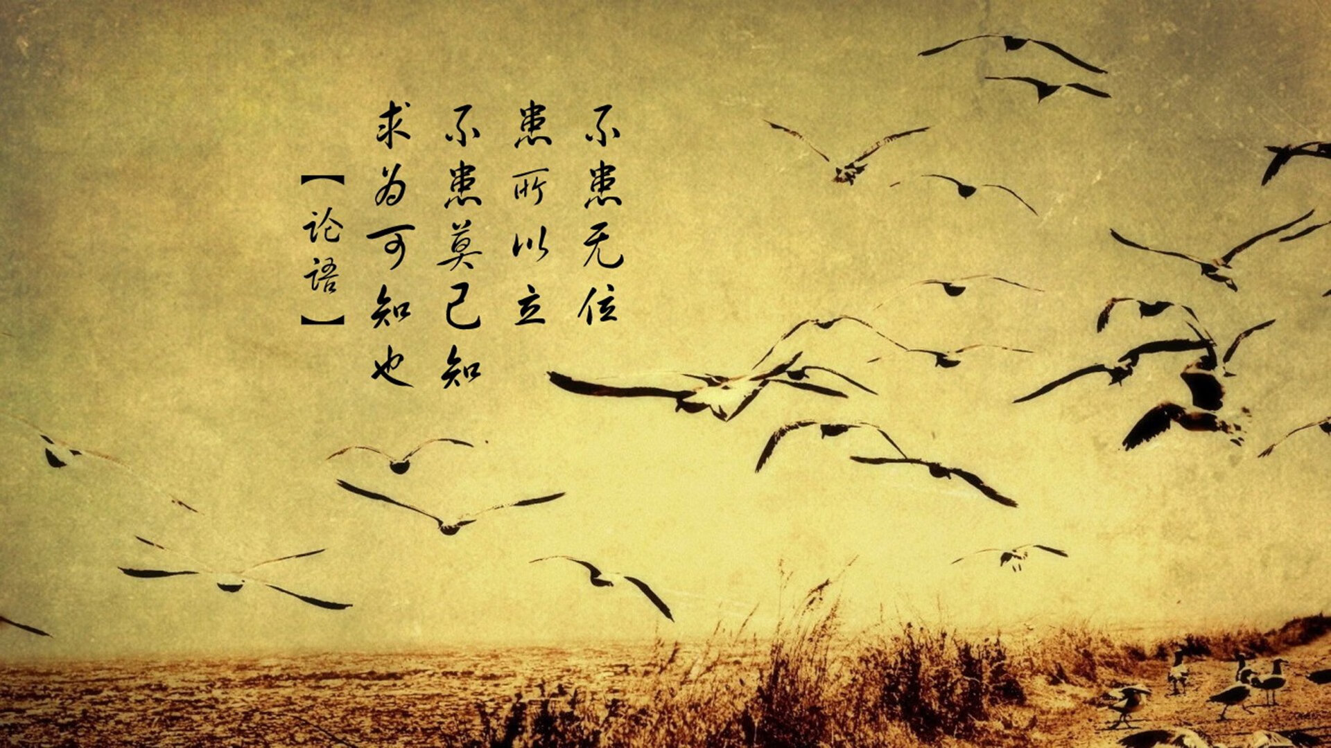 九游下载官网-巴萨遭逢困境！伤停梅西未能助队脱困，巴萨官推梅西