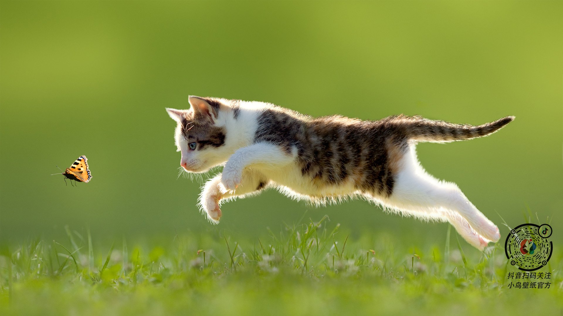 揭秘电竞训练基地内部环境,电竞训练馆