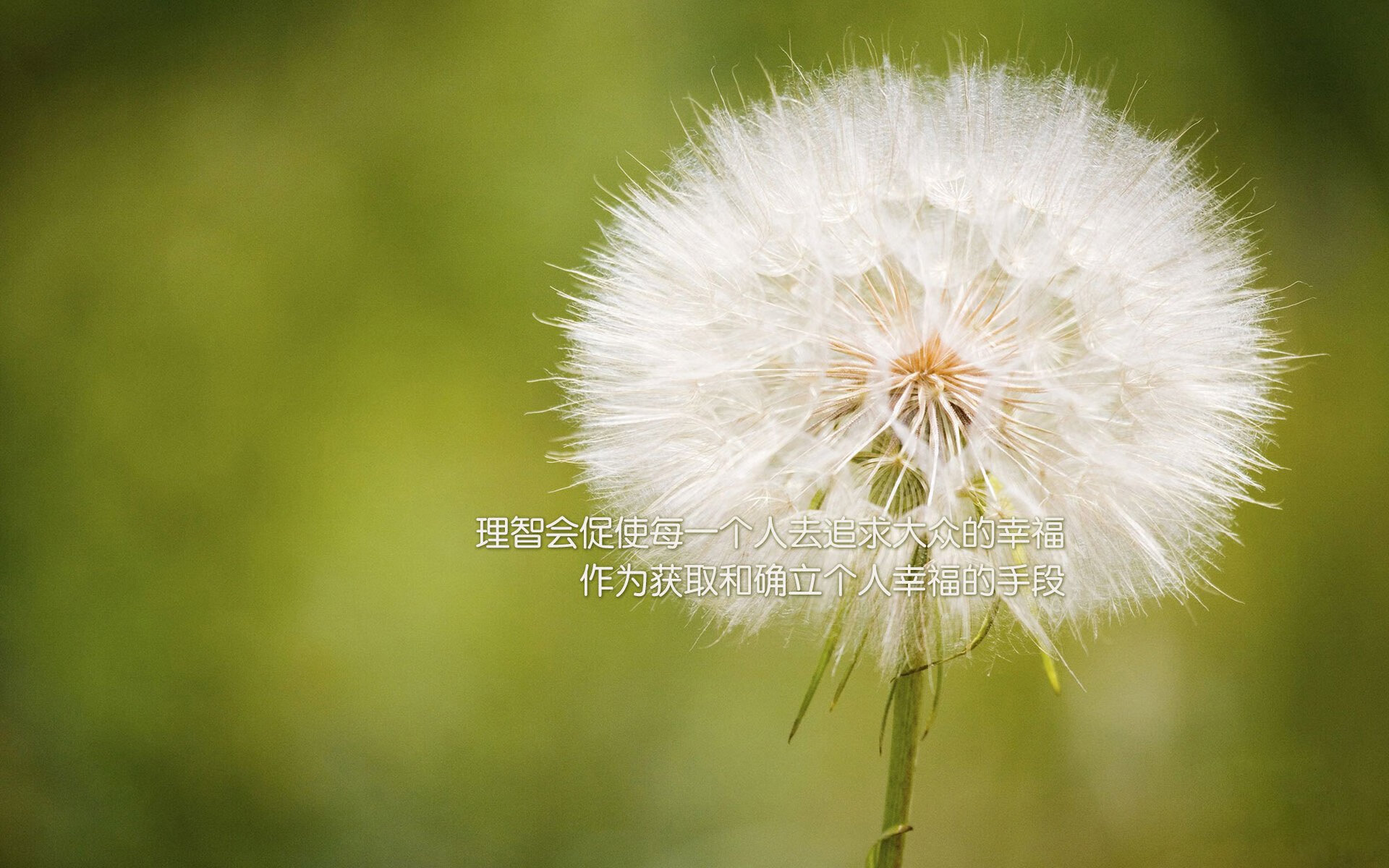 美国队在国际乒联混合团体世界杯中的亮点与不足，美国乒乓球赛事