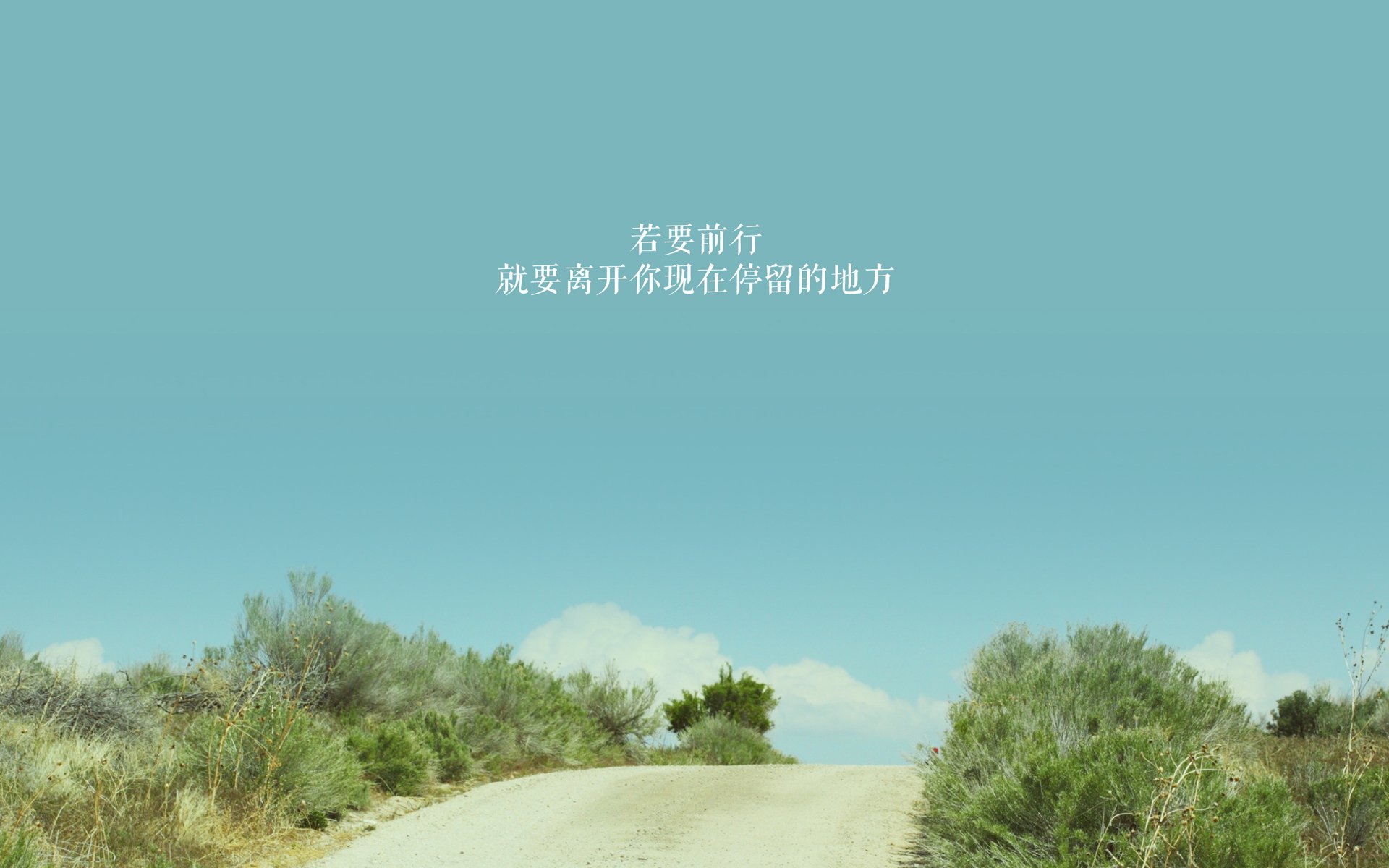 职业球员对战术执行理解力为何参差不齐，球赛战术