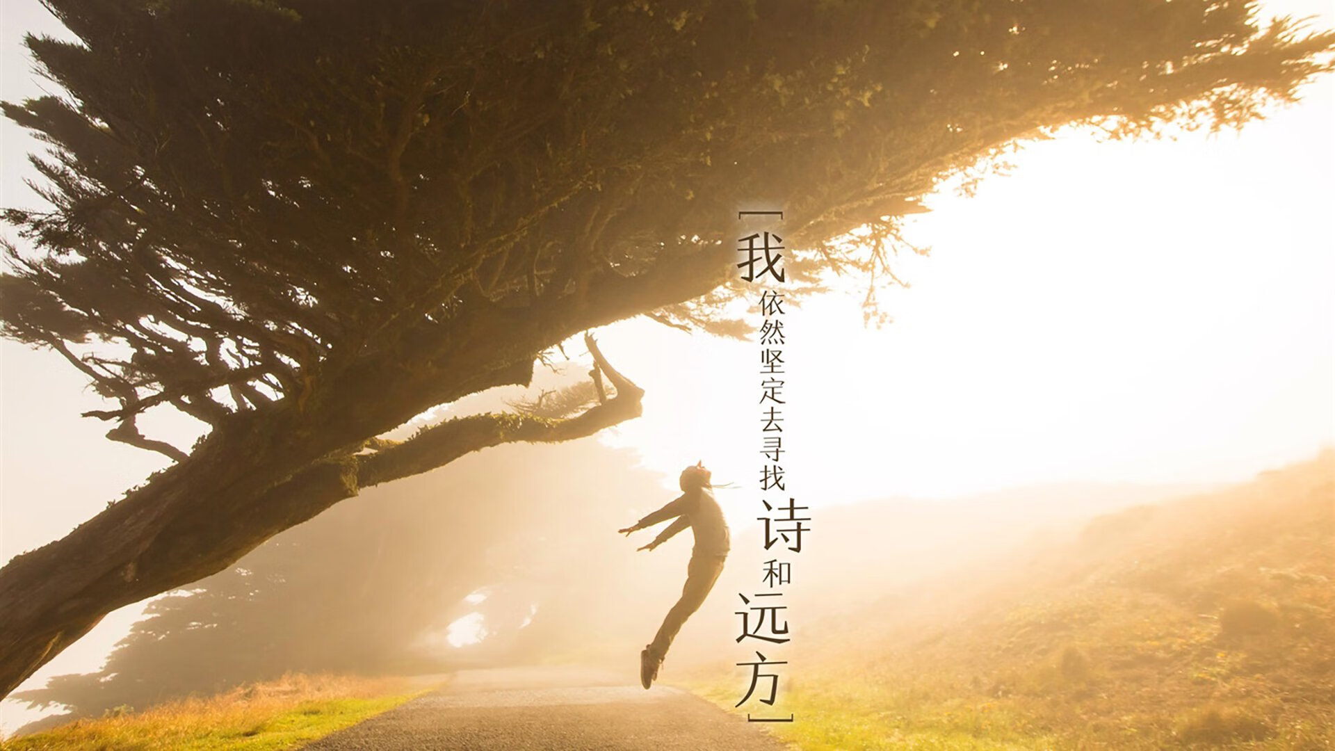 九游娱乐APP-塔特在比赛中展现的高强度压迫防守，为袋鼠队带来优势