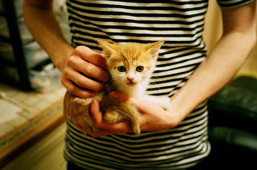 格鲁吉亚女篮在欧洲锦标赛中精彩亮相，迈向更广阔舞台，格鲁吉亚赛程