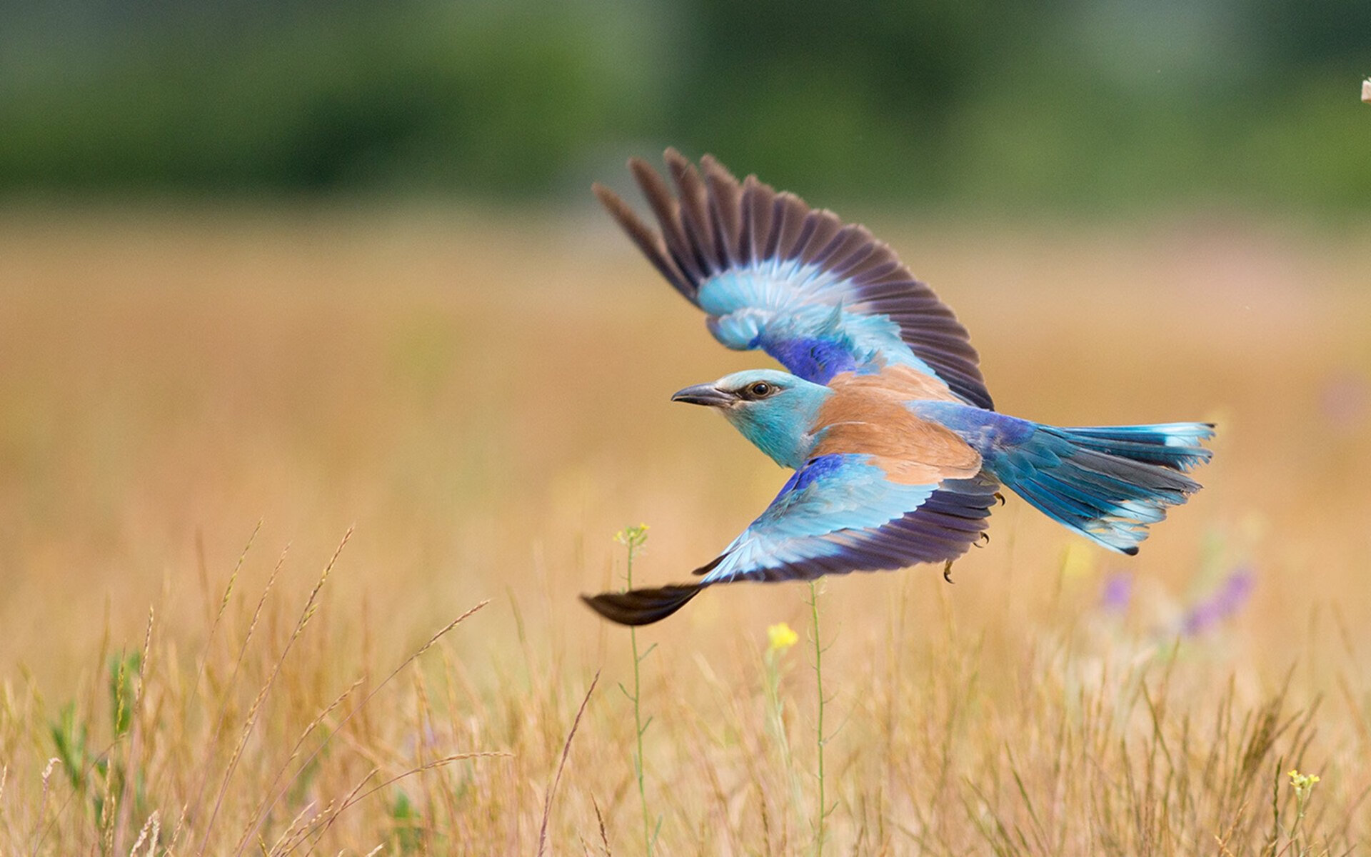 球员比赛中展现良好视野多次送出威胁传球成为进攻枢纽核心，球员对球场上所发生的事实问题