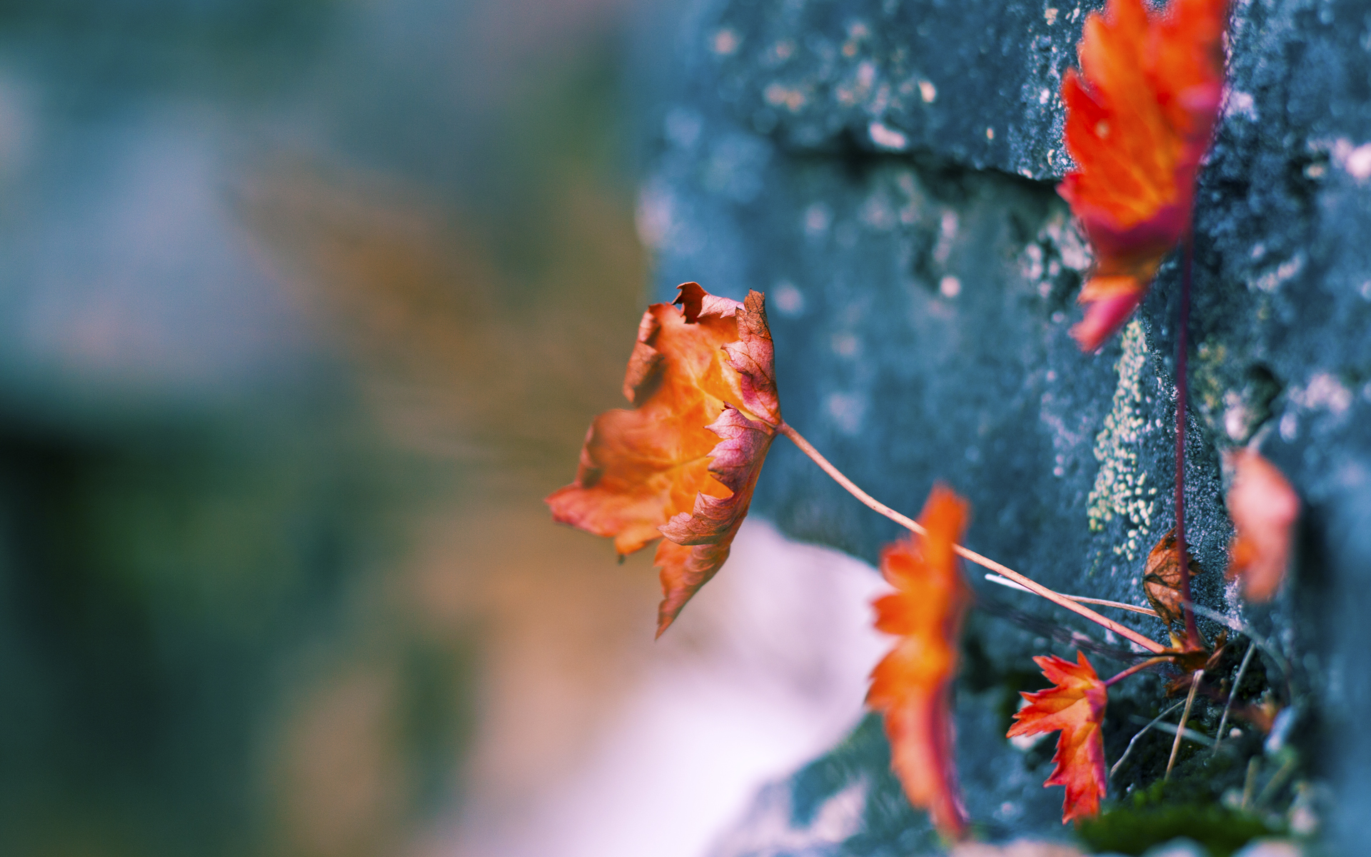 男篮锋线球员苦练突破技术力求在联赛中取得更大突破，男篮前锋
