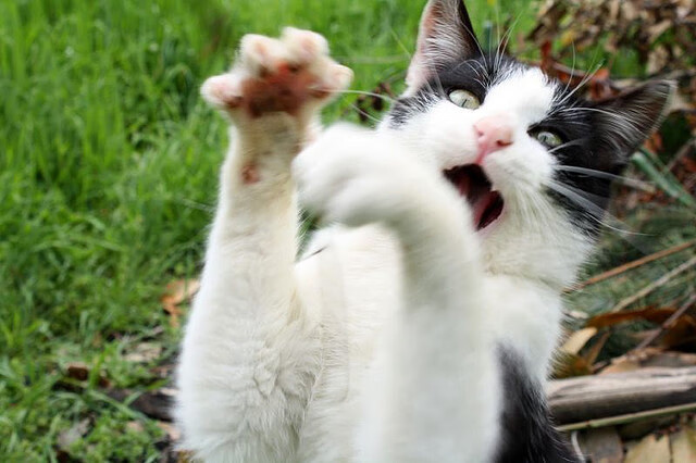 九游娱乐APP-英超战火不断：精彩镜头层出不穷！，英超战术分析