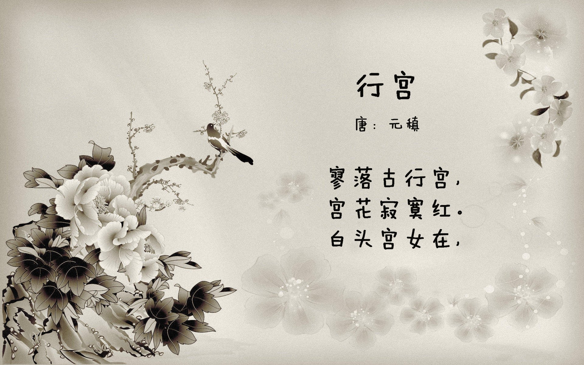 训练节奏逐步加快为密集赛程做好充分准备,训练节奏3-1-3什么意思